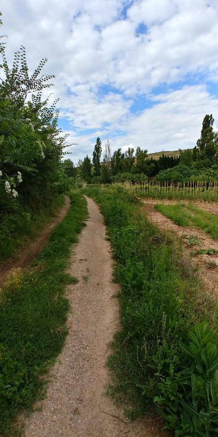 Apartamento Entrevinas En El Corazon De La Rioja Fuenmayor ภายนอก รูปภาพ
